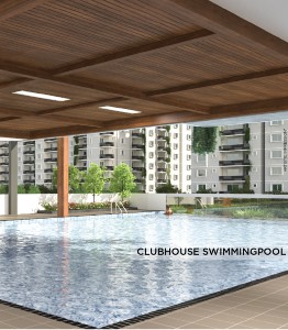 Mana clubhouse swimming pool